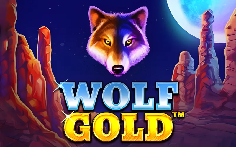 사막 야생 속 1win Wolf Gold 잭팟 기대 상황.